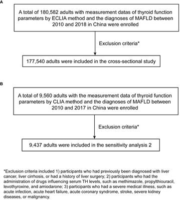 The nonlinear relationship between thyroid function parameters and metabolic dysfunction-associated fatty liver disease